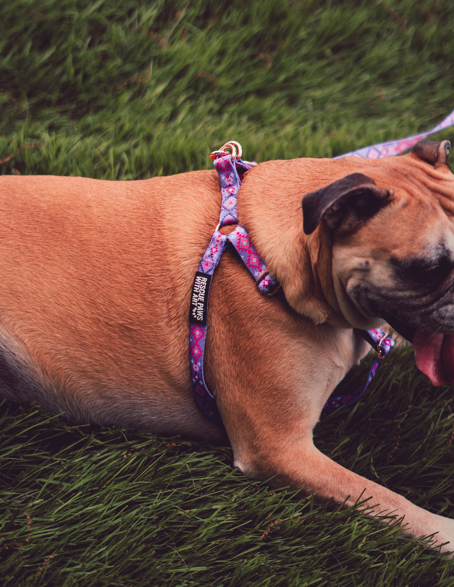 Purple Navajo Inspired harness