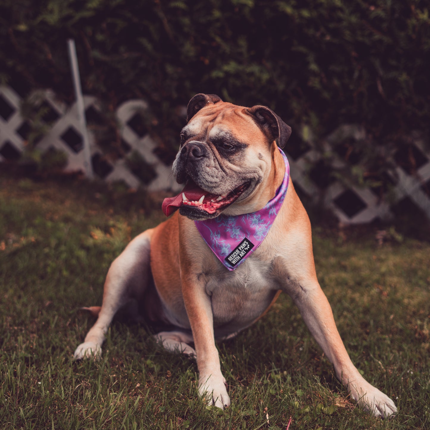 Petite fleur bandana