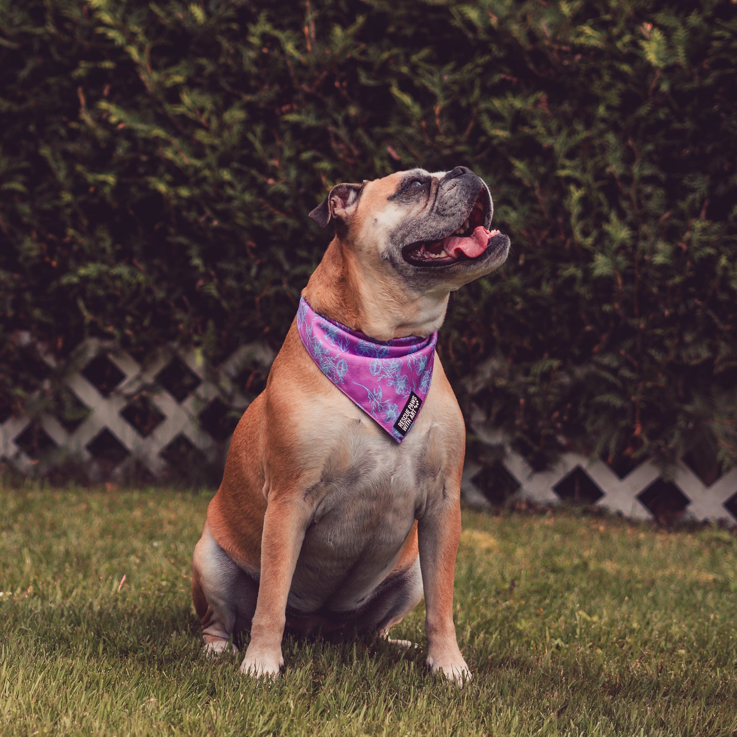 Petite fleur bandana