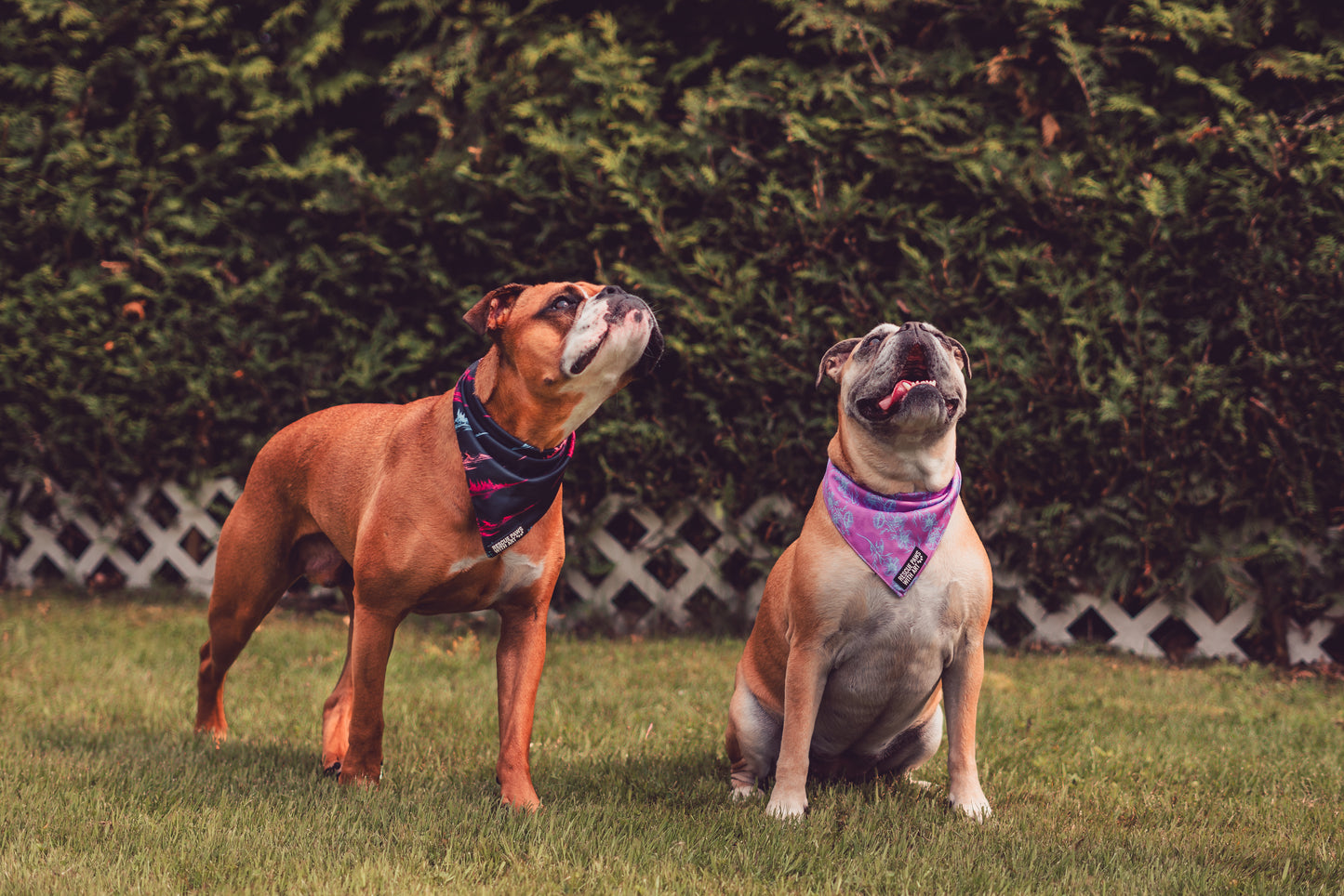 Petite fleur bandana
