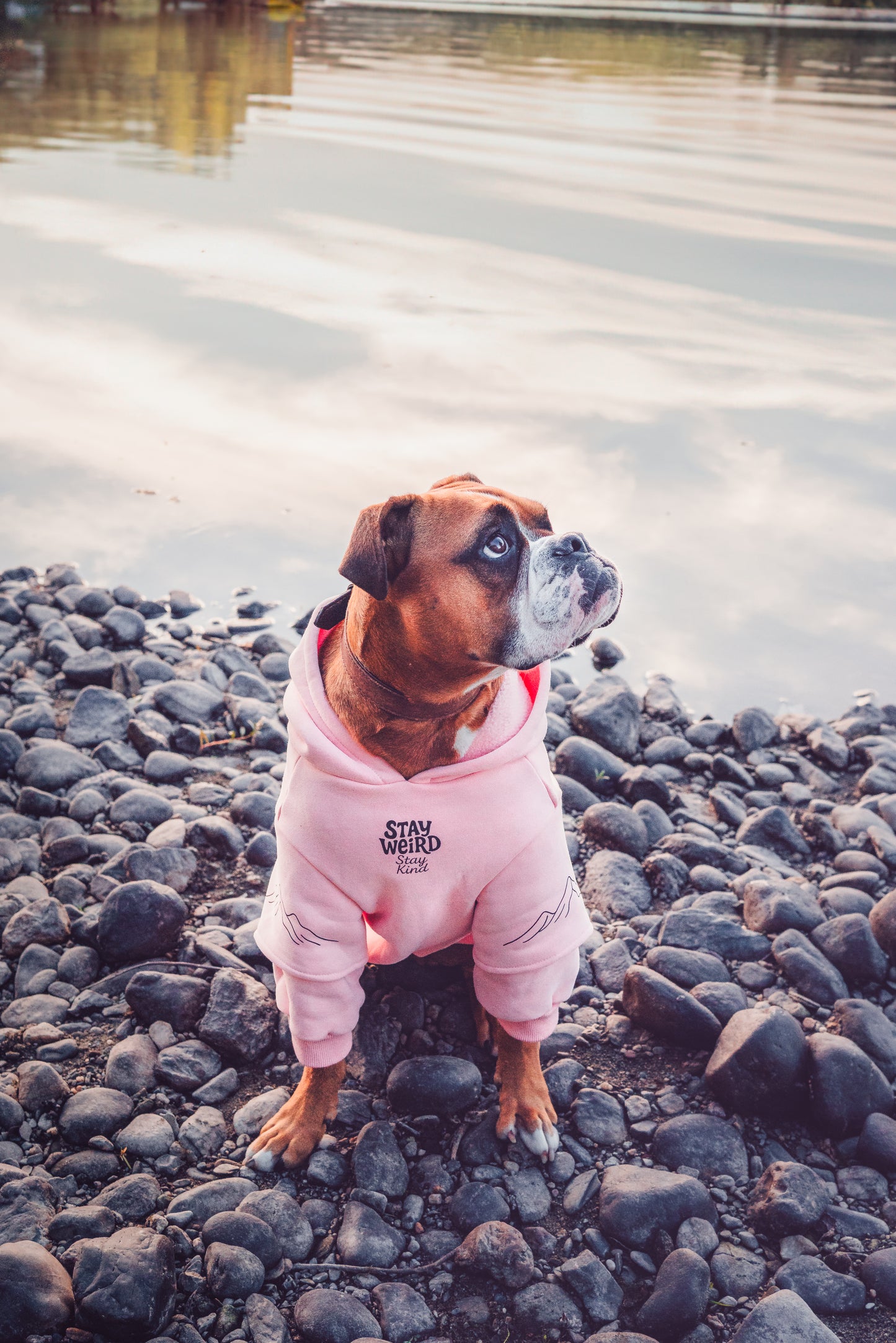 Dusty rose Hoodie