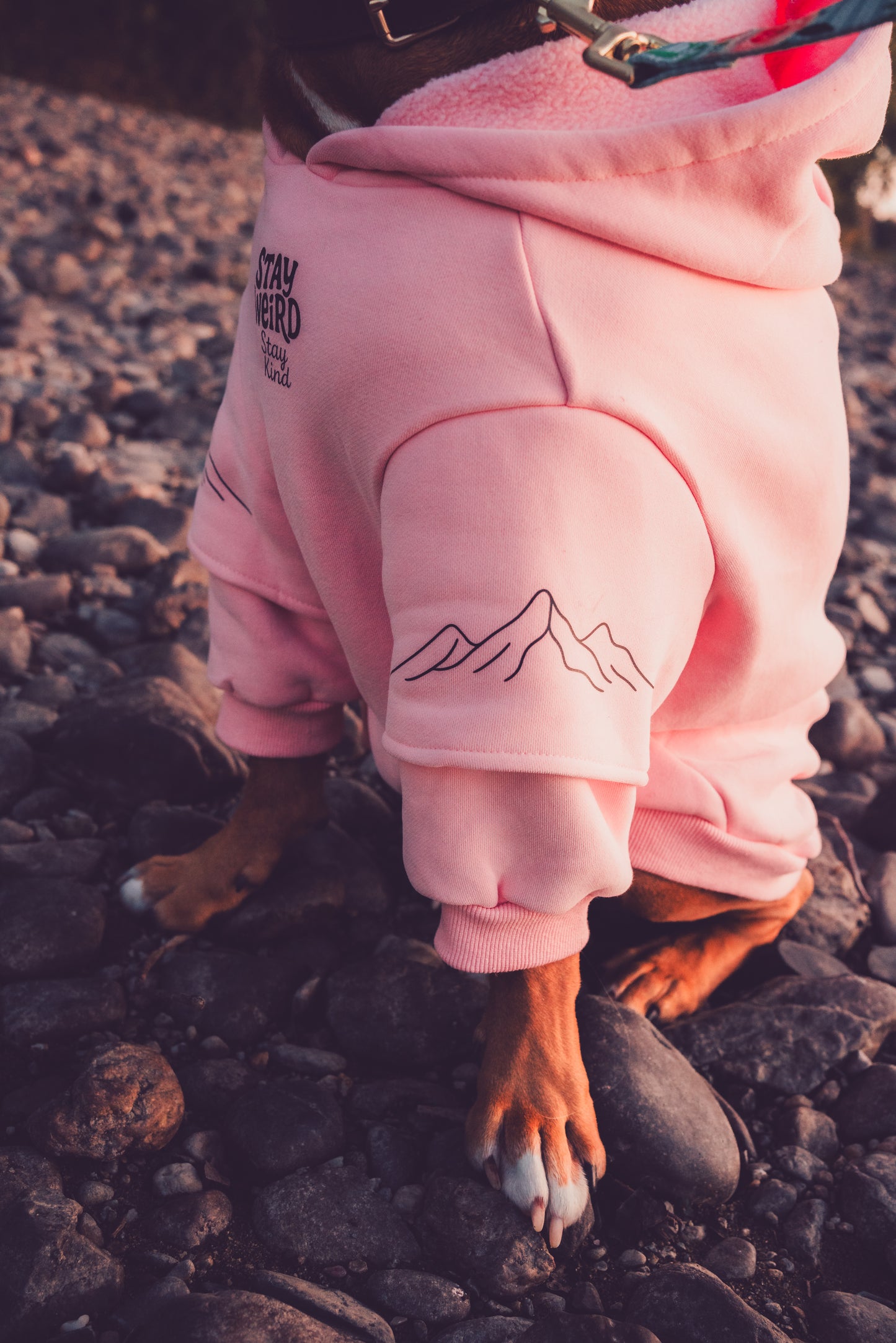 Dusty rose Hoodie
