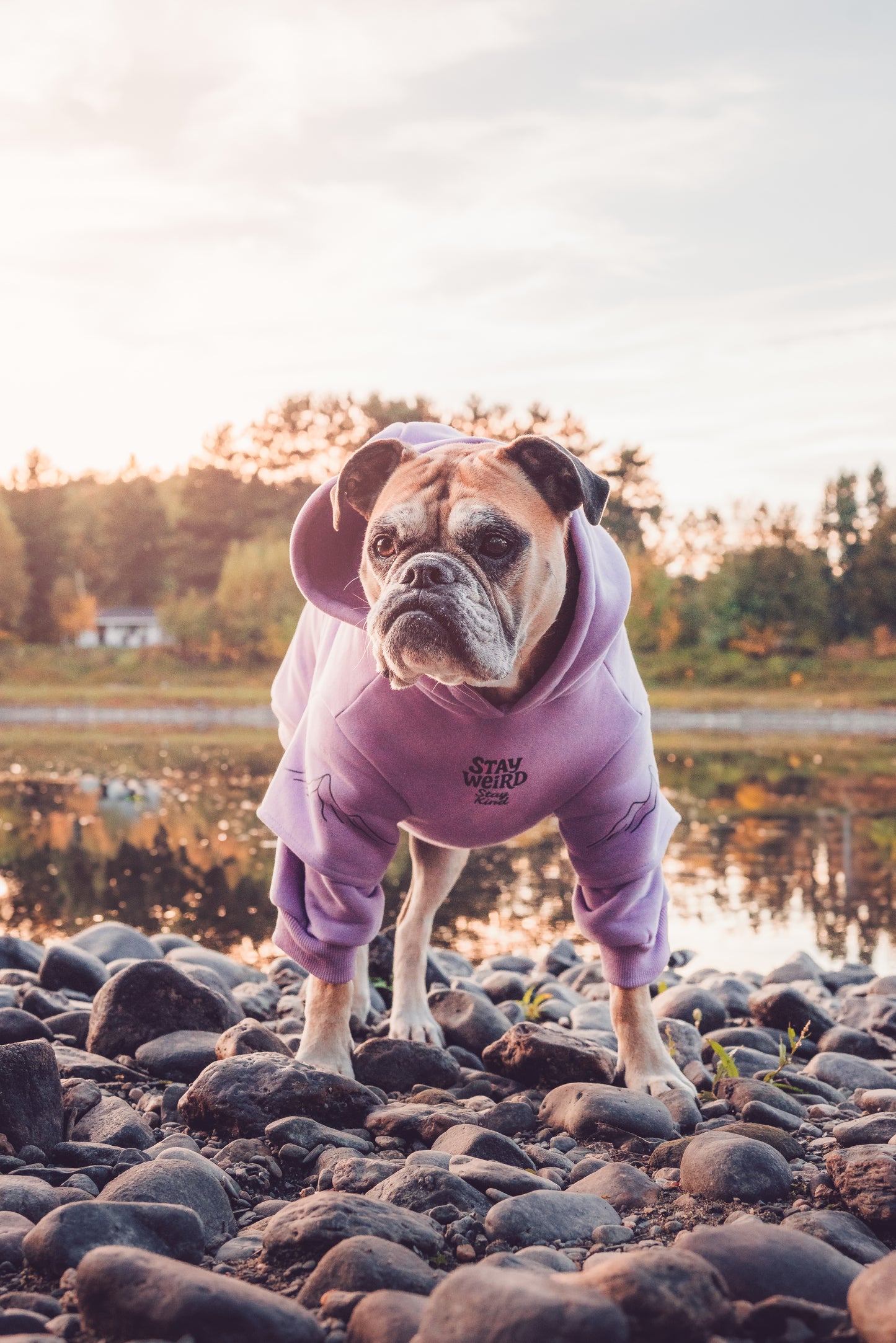 Pastel purple hoodie