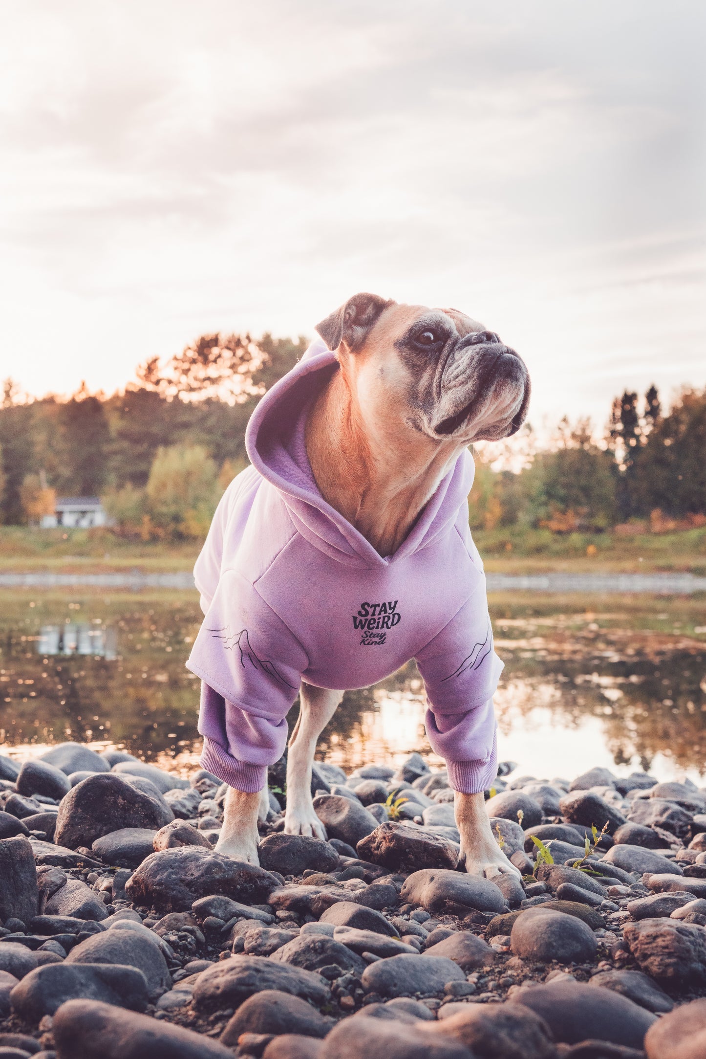 Pastel purple hoodie