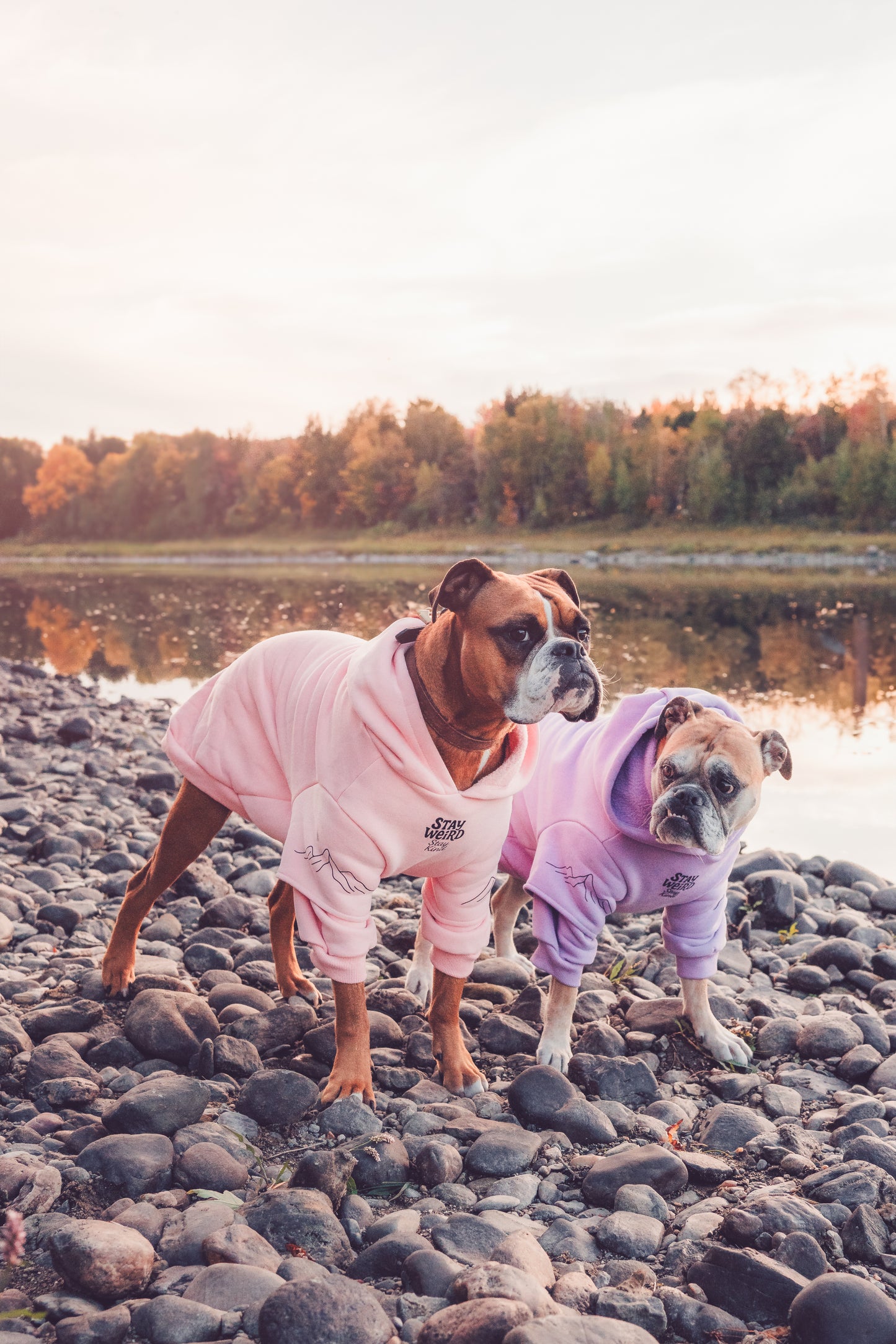 Pastel purple hoodie