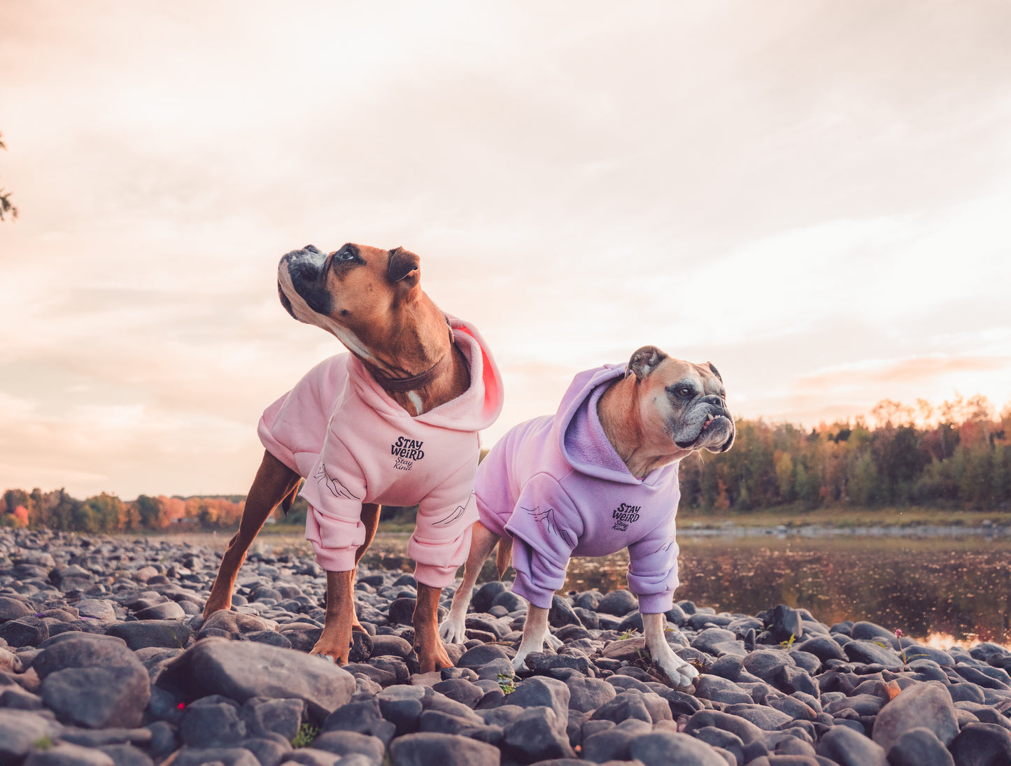 Pastel purple hoodie