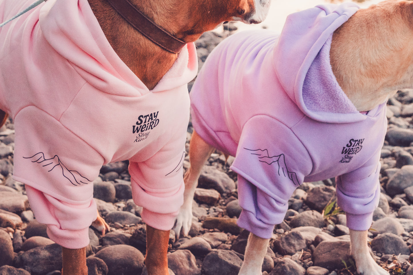 Pastel purple hoodie