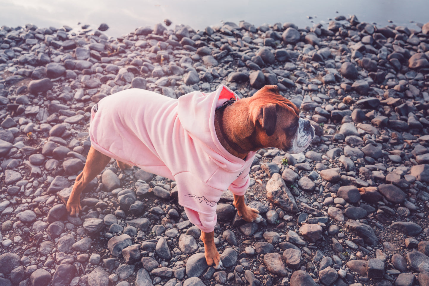 Dusty rose Hoodie