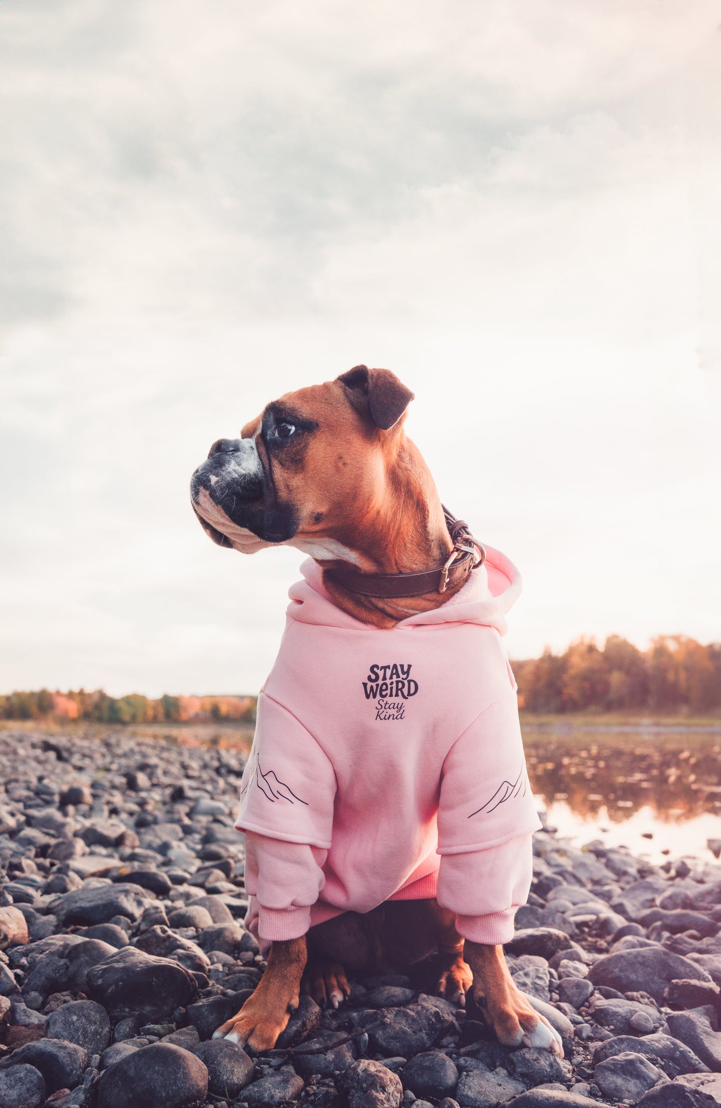 Dusty rose Hoodie