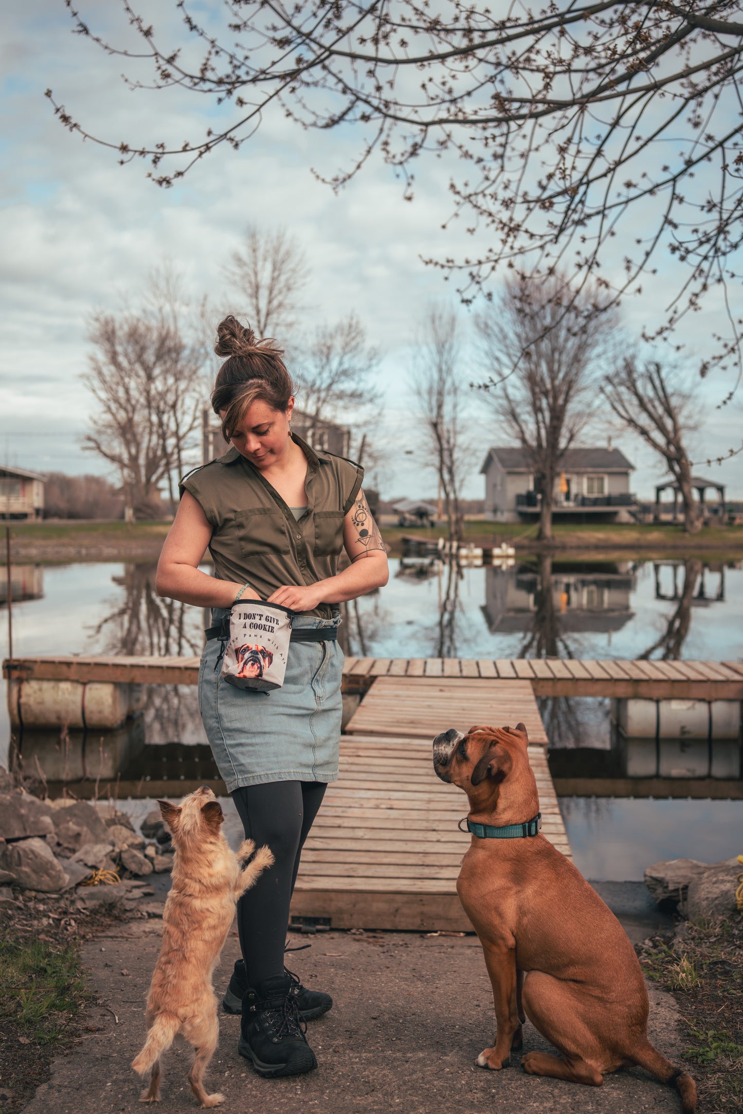 Dog Treat Training Bags