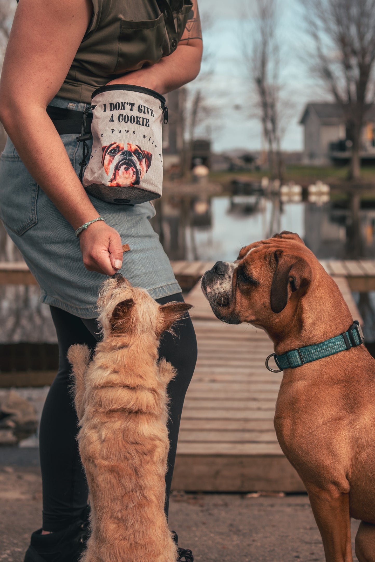 Dog Treat Training Bags