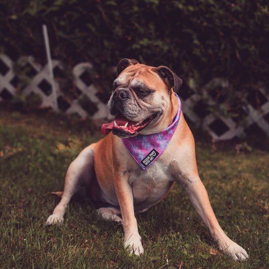 Petite fleur bandana