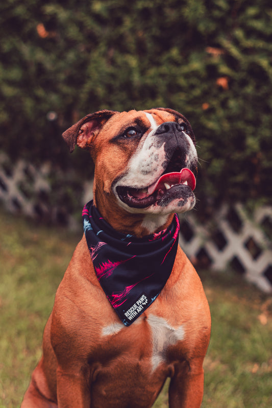 Black mountains bandana