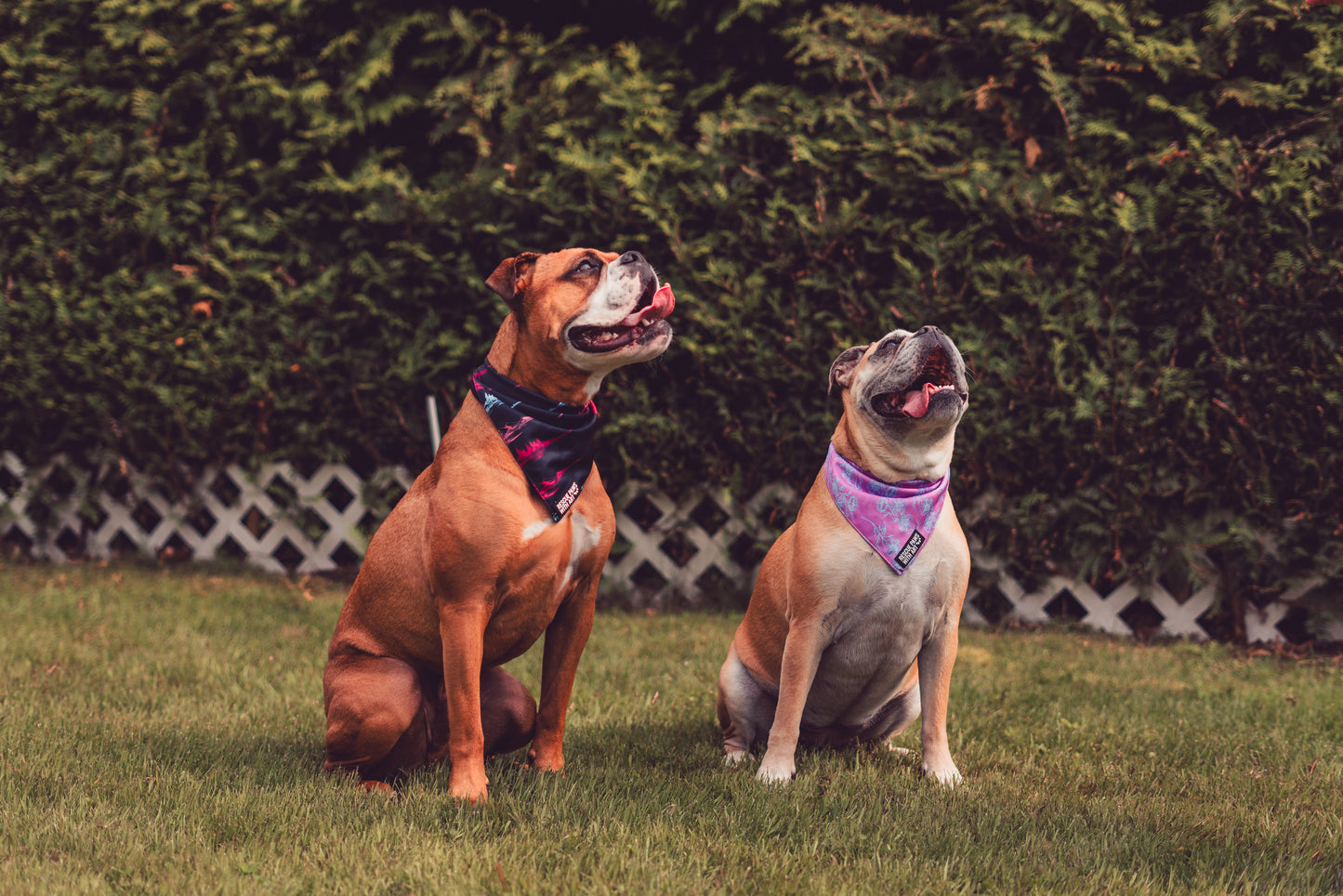 Petite fleur bandana
