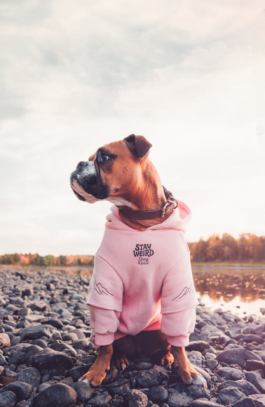 Dusty rose Hoodie
