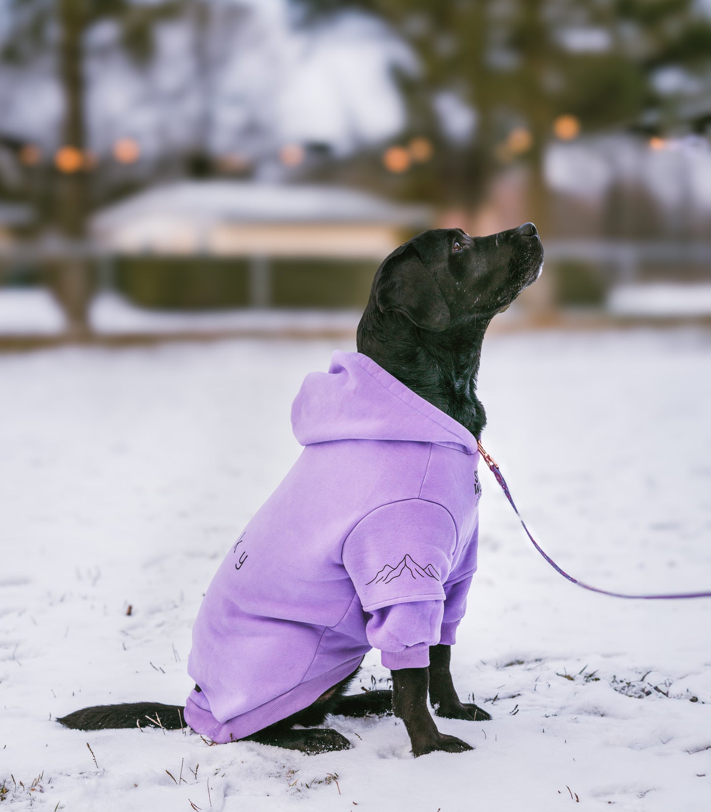 Coton ouaté lavende pastel