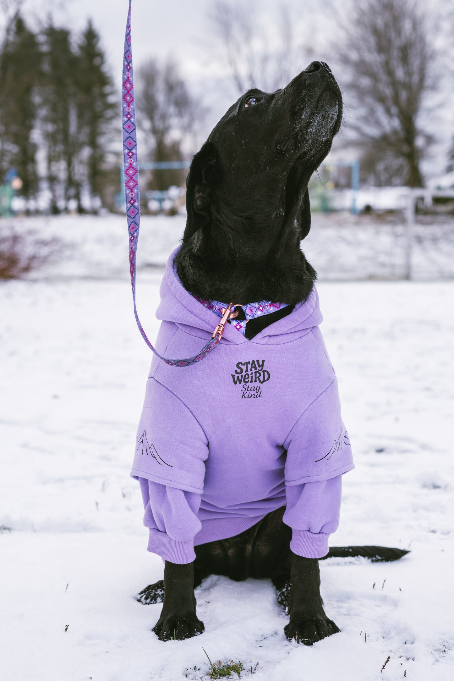 Coton ouaté lavende pastel