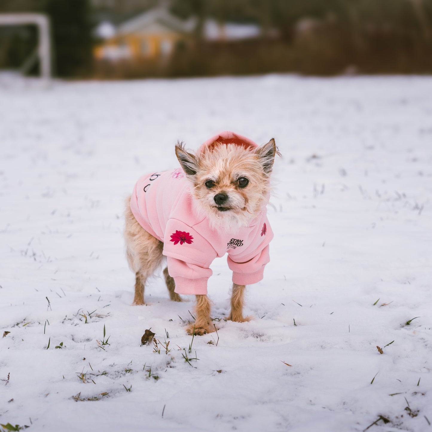 Coton ouaté rose pastel