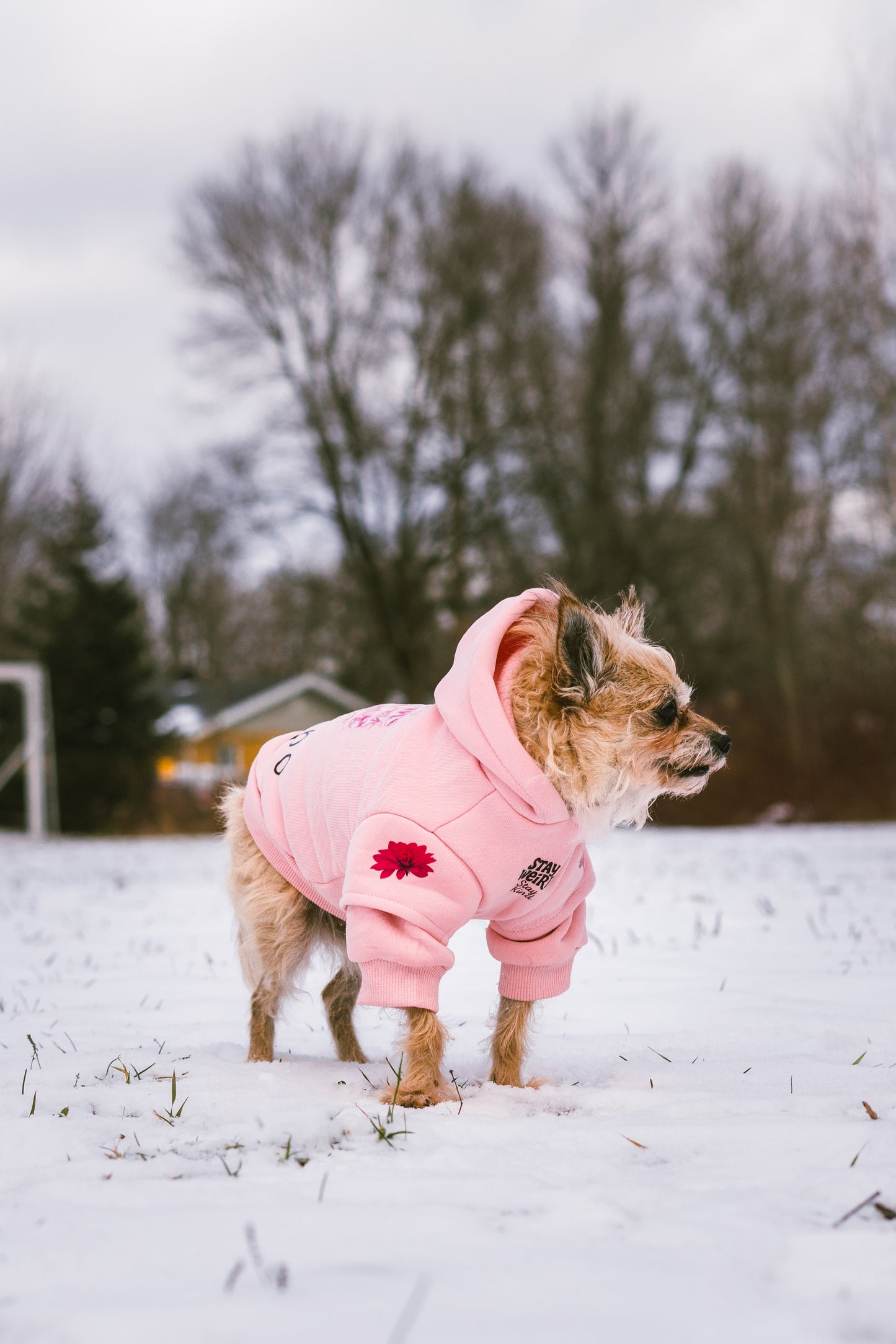 Coton ouaté rose pastel
