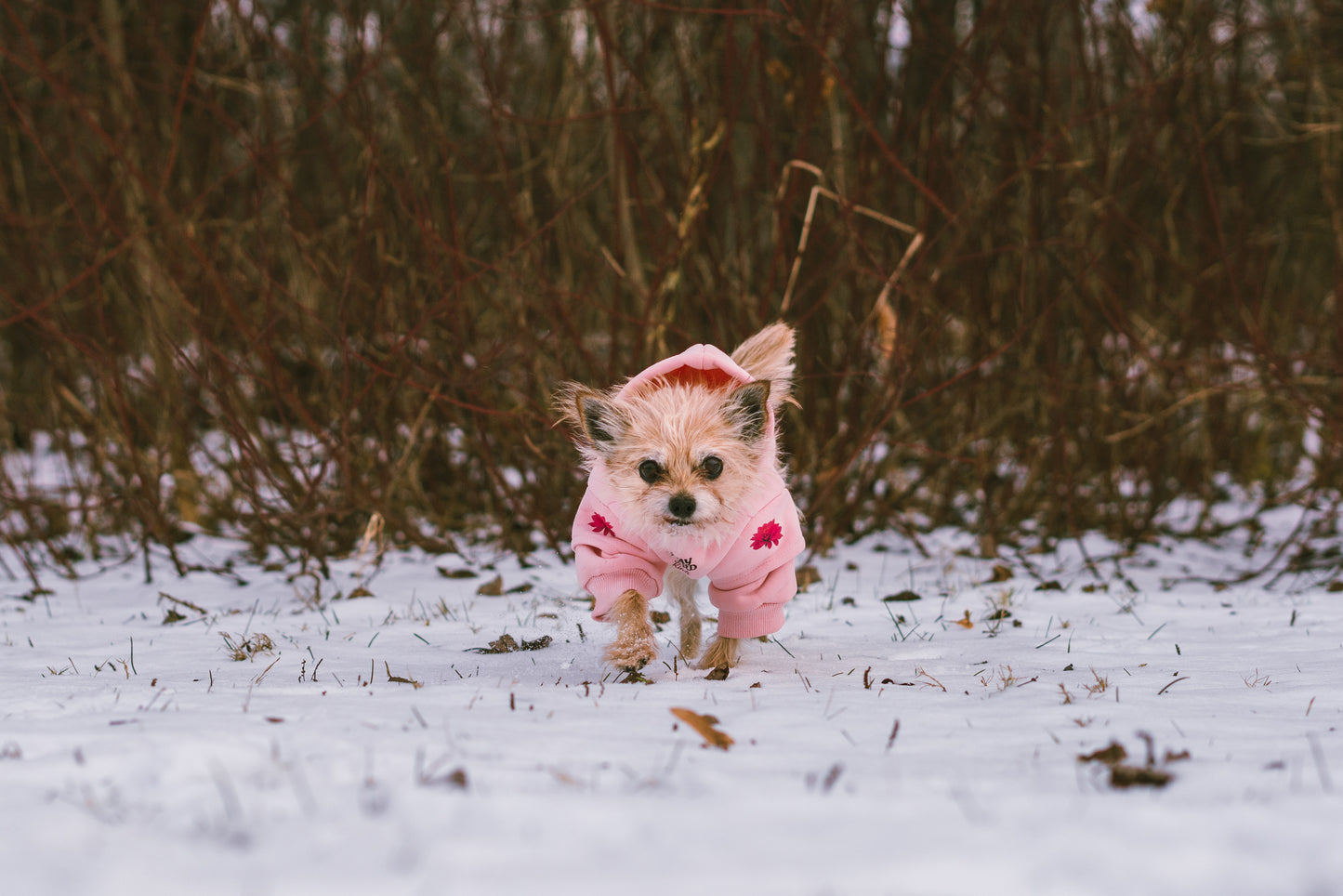 Coton ouaté rose pastel