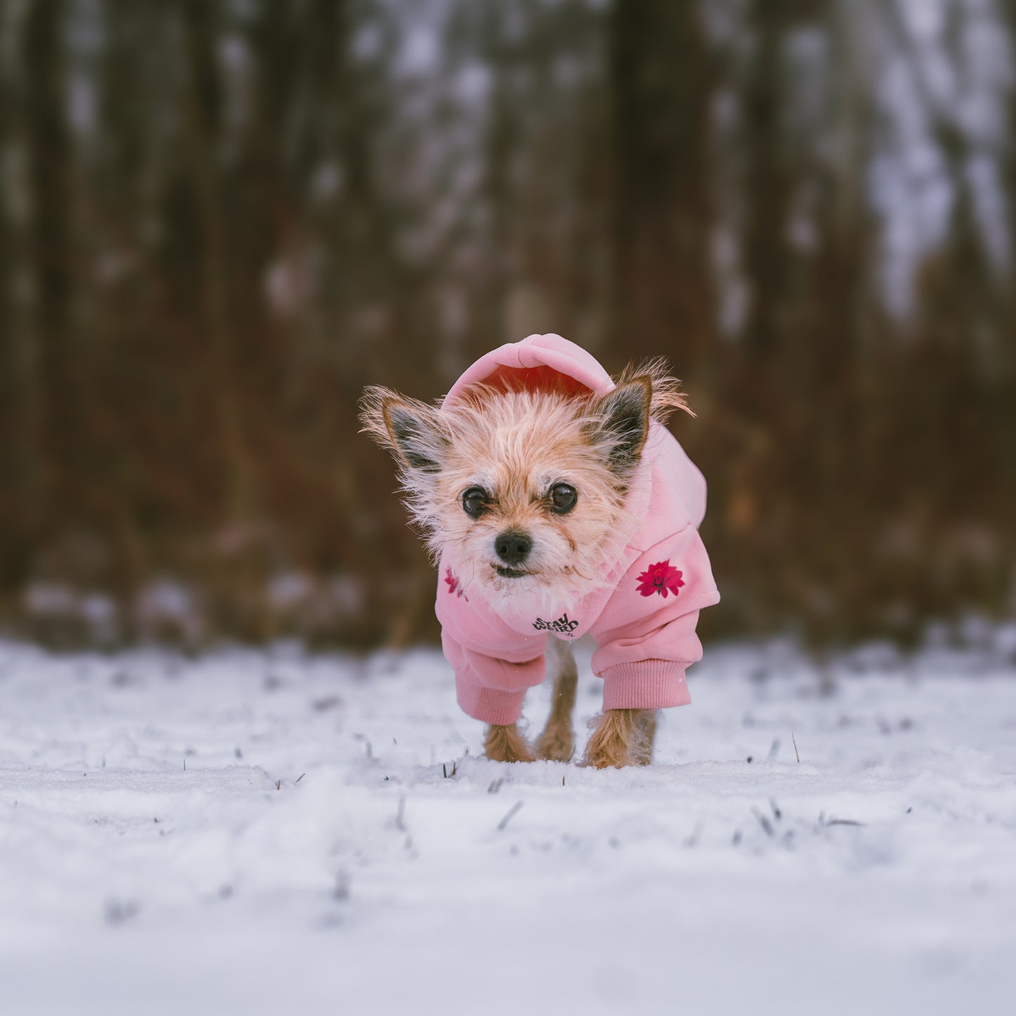 Coton ouaté rose pastel
