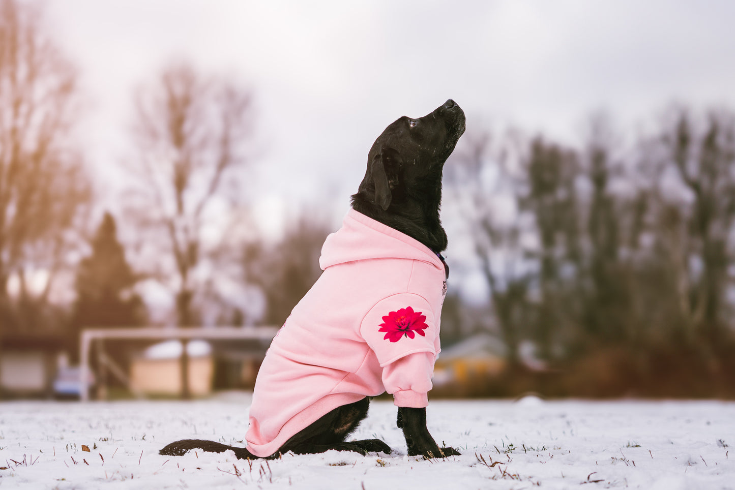 Coton ouaté rose pastel