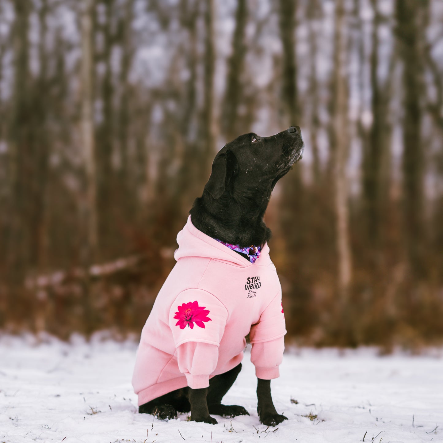 Coton ouaté rose pastel