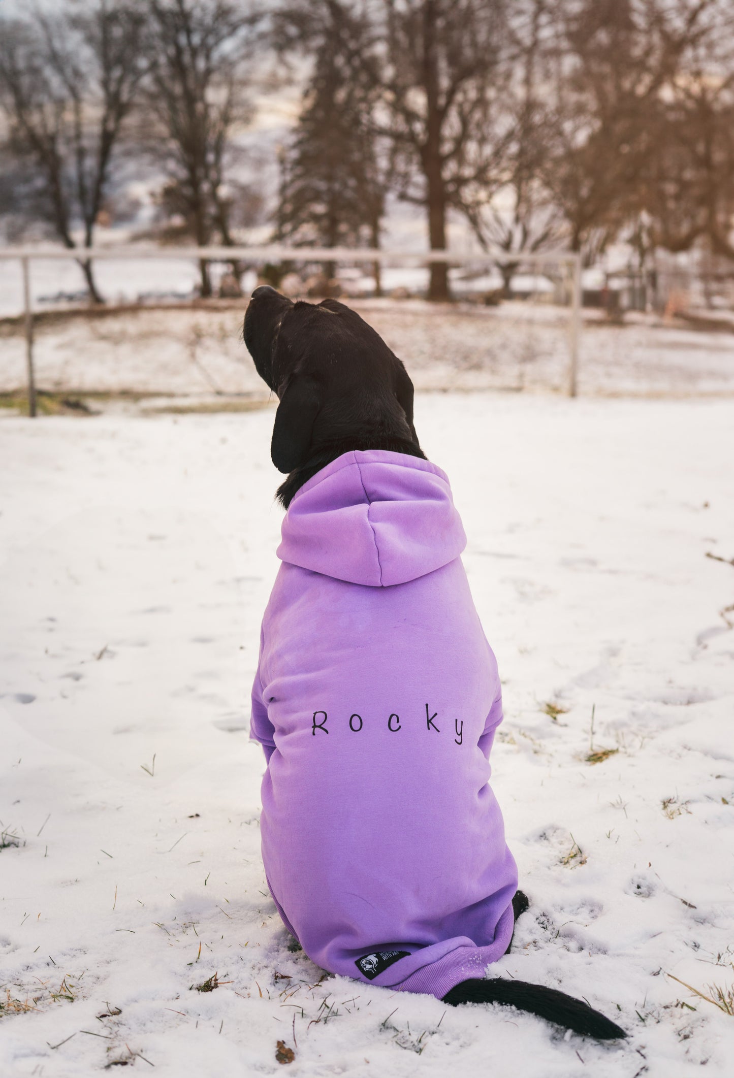 Coton ouaté lavende pastel